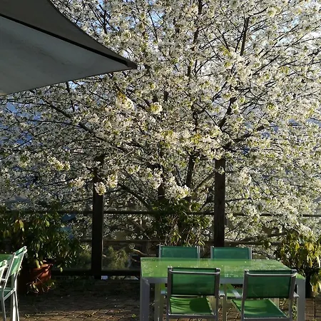 Veganer Gasthof Zum Ederplan Iselsberg