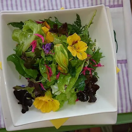 Veganer Gasthof Zum Ederplan Värdshus