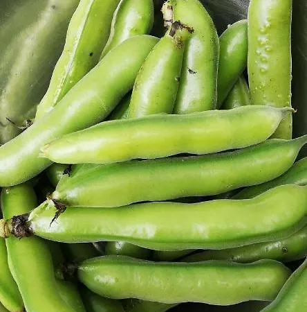 Veganer Gasthof Zum Ederplan * Iselsberg