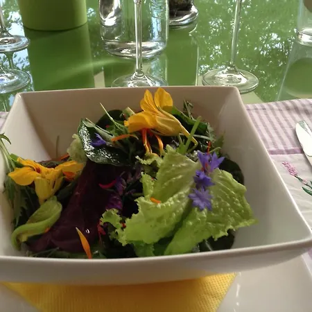 Värdshus Veganer Gasthof Zum Ederplan *